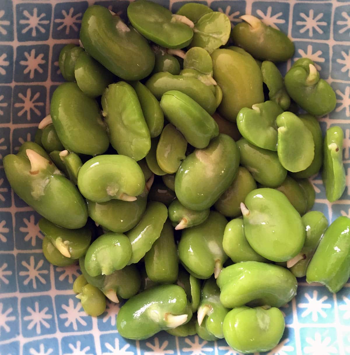 How To Prepare And Cook Broad Beans Sneaky Veg