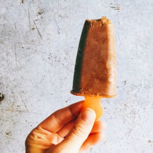 HAND HOLDING A CHOCOLATE ICE LOLLY