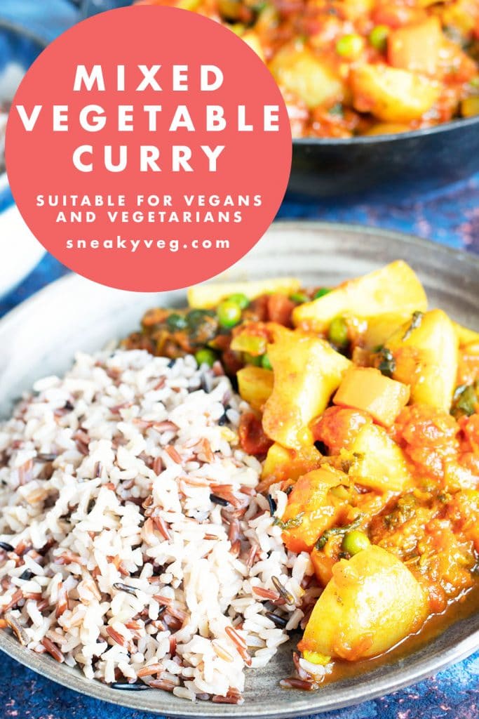 mixed vegetable curry with rice