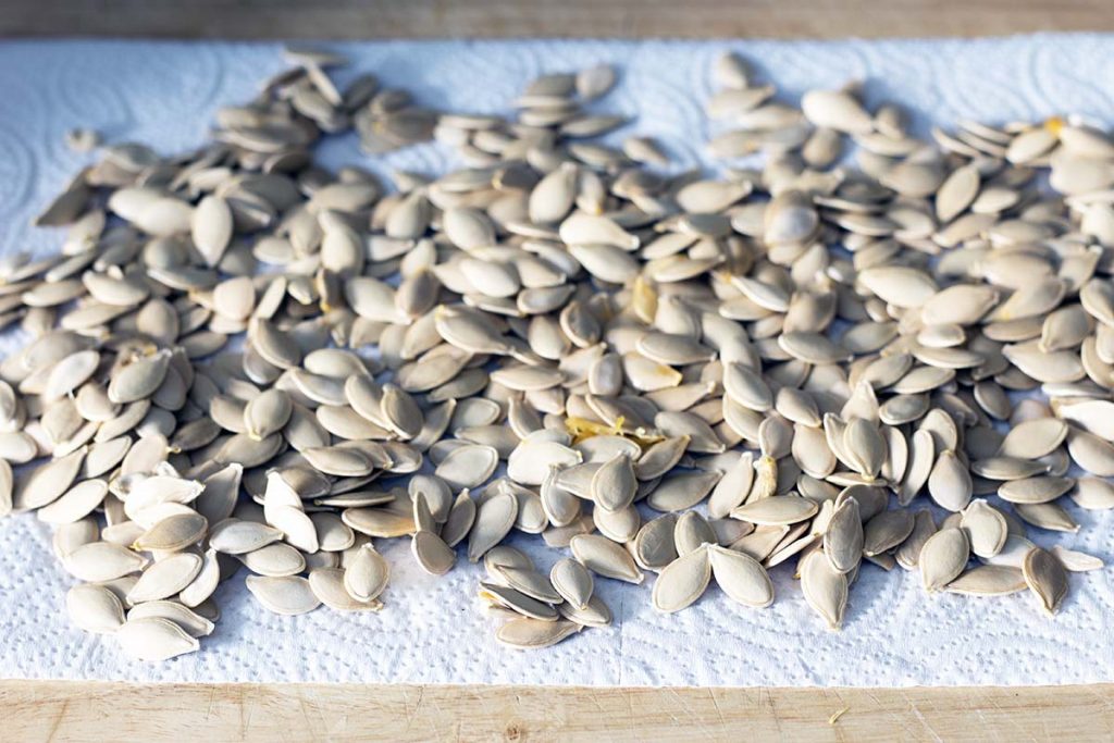 easy oven roasted pumpkin seeds recipe by Sneaky Veg