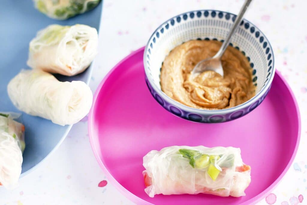 summer rolls with peanut dipping sauce